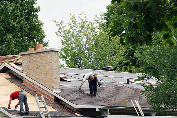 Best Roof Moss and Algae Removal  in Tomahawk, WI
